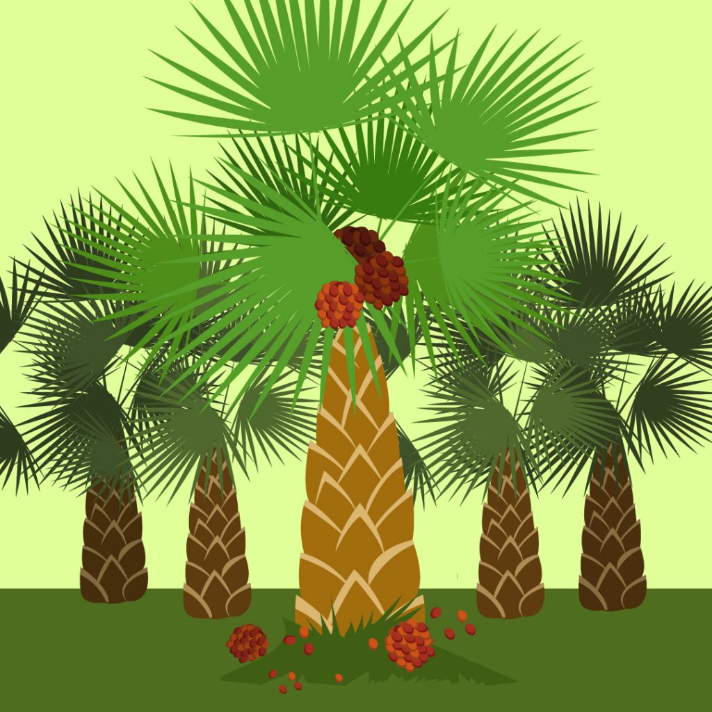 Ilustrasi Isu Kelapa Sawit