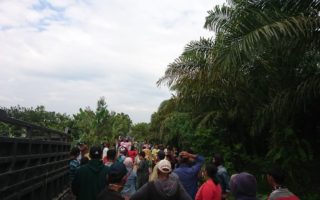 Hak Atas Tanah Masyarakat Adat Penunggu Terusik