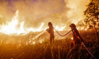 Kebakaran hutan picu krisis kesehatan warga